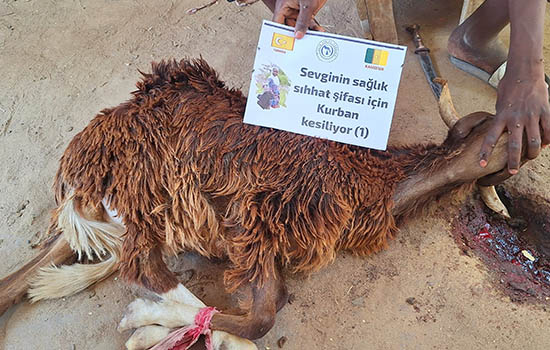 afrika-kurban-bagis-yardim